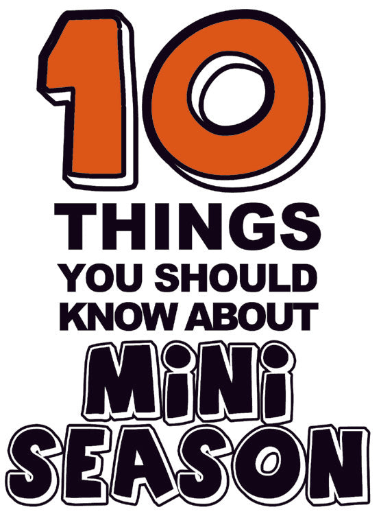 10 THINGS YOU SHOULD KNOW ABOUT MINI SEASON