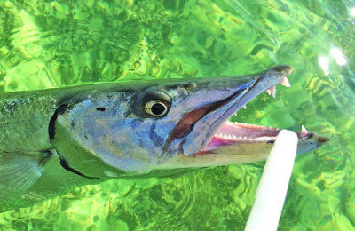 Kayak Fishing Calendar For the Cooler Months