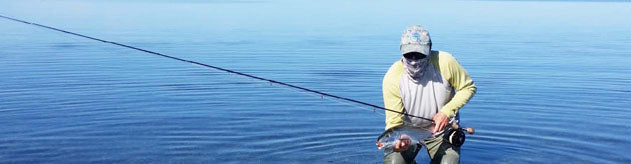 Key West Flats Fishing Still Excellent