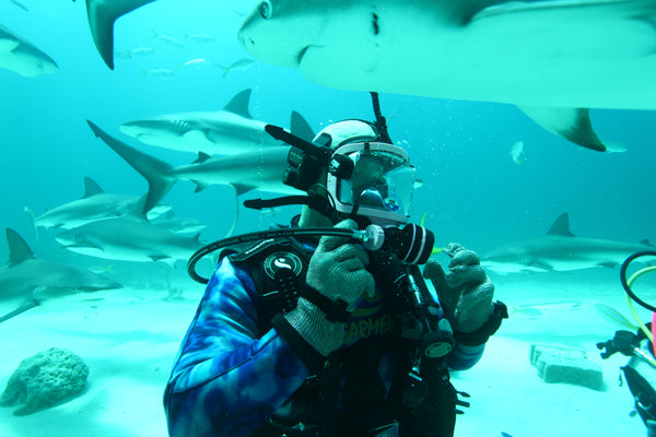 Shark Diving in the Florida Keys