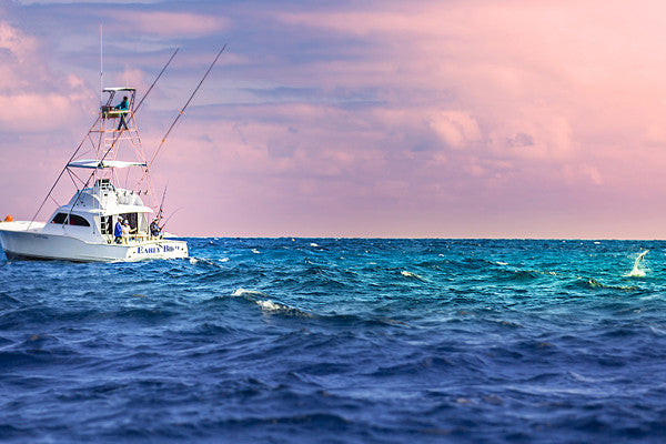 Sight Fishing