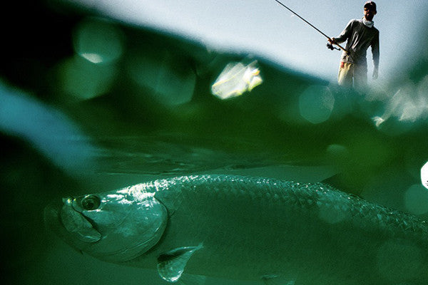 Get up & go get bit!