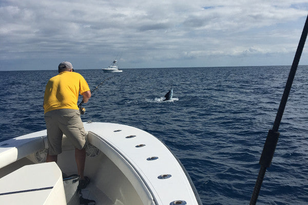 Islamorada Fishing Forecast