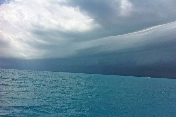 The Squalls of March