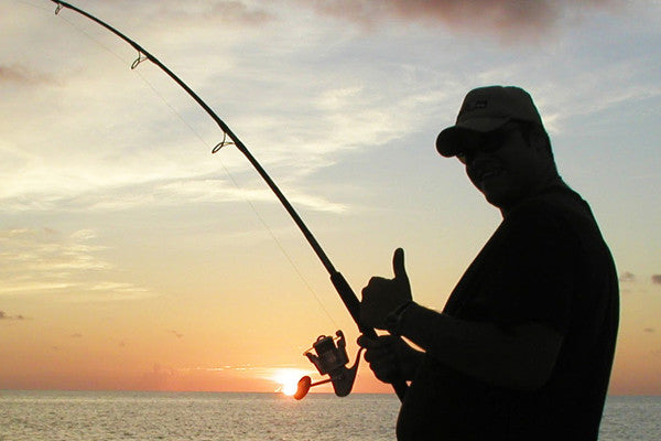 Tarpon Time!