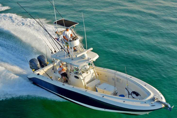 Bimini Christmas Dreams