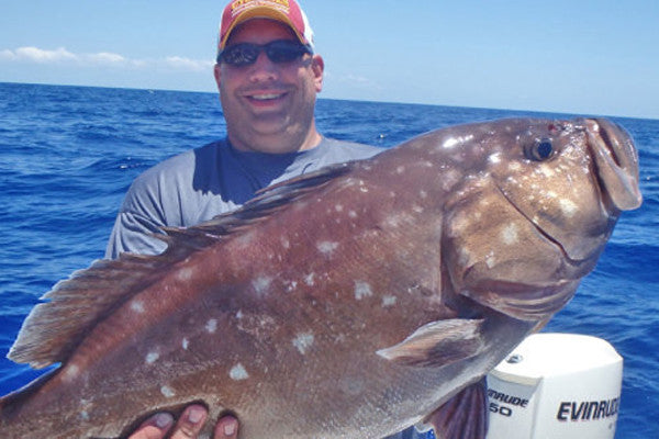 Snowy Grouper Season