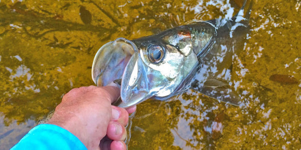 Summertime Tips for Kayak Fishing Keys Flats
